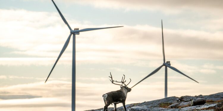 ¿Y por qué nosotros no?