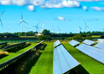 Destacan ahorros en consumo eléctrico; celebran el día del medio ambiente
