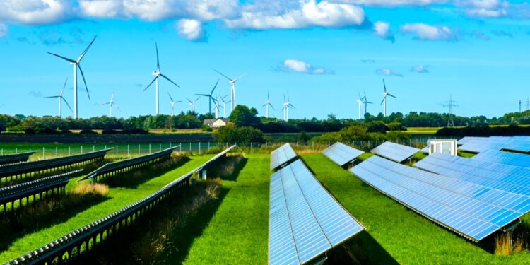 Destacan ahorros en consumo eléctrico; celebran el día del medio ambiente