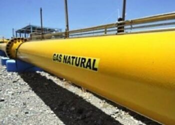 Destaca AMGN áreas de oportunidad del gas natural para el Sur-Sureste