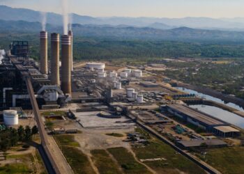 Dejó de operar la Carboeléctrica de Petacalco y no fue por mantenimiento
