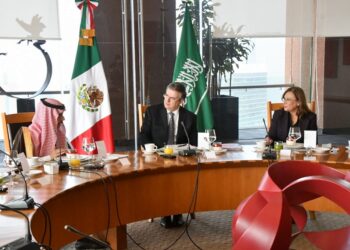 Destaca Rocío Nahle cooperación energética entre México y Arabia Saudita