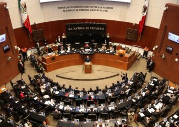 A consulta, petición de controversia constitucional contra Acuerdo de López Obrador: Sánchez Cordero