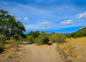 Es tiempo de oportunidad