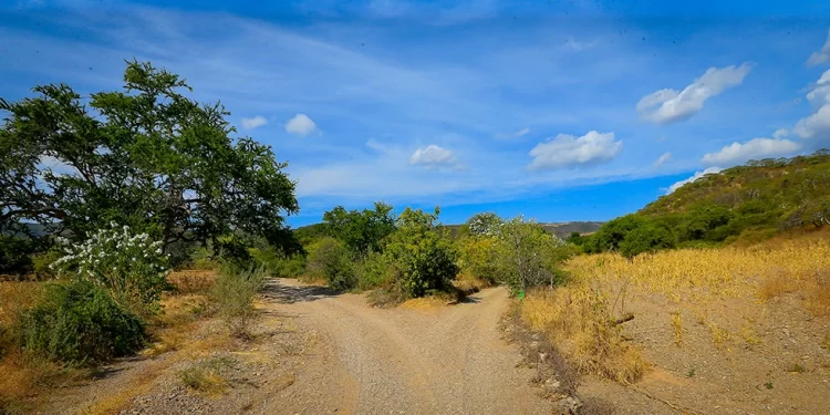 Es tiempo de oportunidad