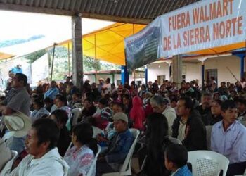 Dan luz verde al Proyecto Hidroeléctrico Puebla 1
