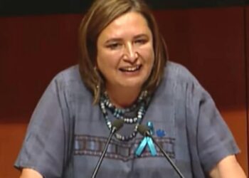 Llama Senado a comparecer a Rocío Nahle sobre CELs