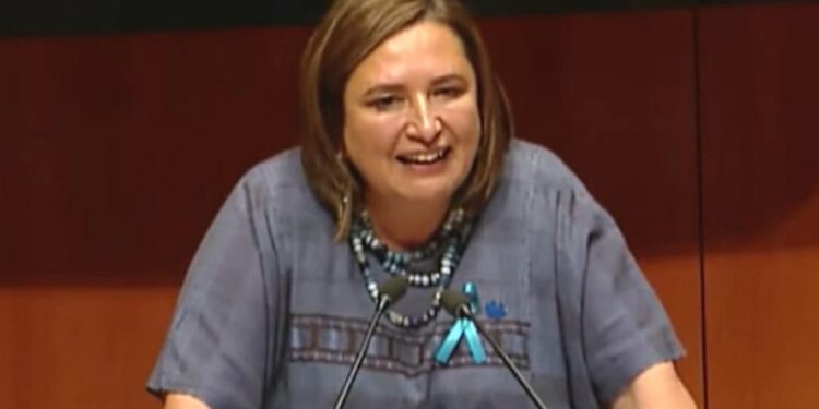 Llama Senado a comparecer a Rocío Nahle sobre CELs