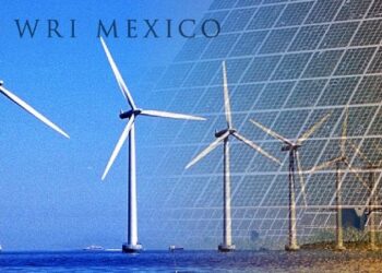 Declaración de apoyo a las renovables: WRI