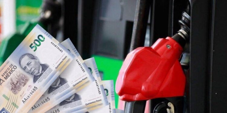 CRE debe dar a conocer precios reportados por gasolineros: INAI