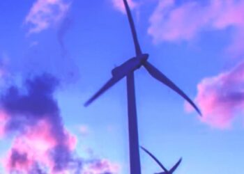 Vuelven a otorgar suspensión definitiva a política de Sener