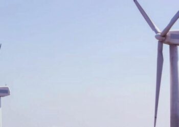 Otorgan amparo extensivo a todas las renovables que interpusieron recurso