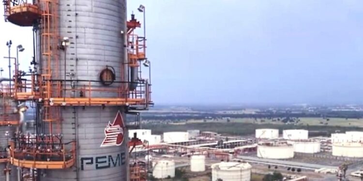 Impedir privados en energía daña a empresas públicas