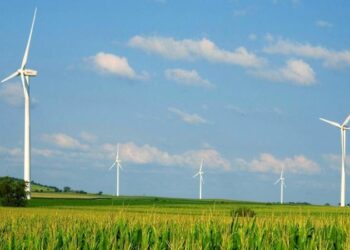 Otorgan dos amparos contra ley eléctrica; son de aplicación general