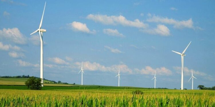 Otorgan dos amparos contra ley eléctrica; son de aplicación general