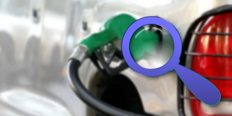 COFECE investiga violaciones en mercados de petrolíferos