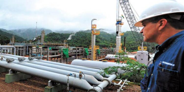 Desintegración gasífera en el Cono Sur