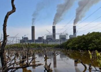 Dañaría al ambiente la propuesta oficial de ley eléctrica