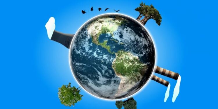 Ya no más inversiones en combustibles fósiles: AIE