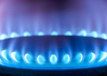 Alza en gas LP por falta de control provisional de precios: Cofece