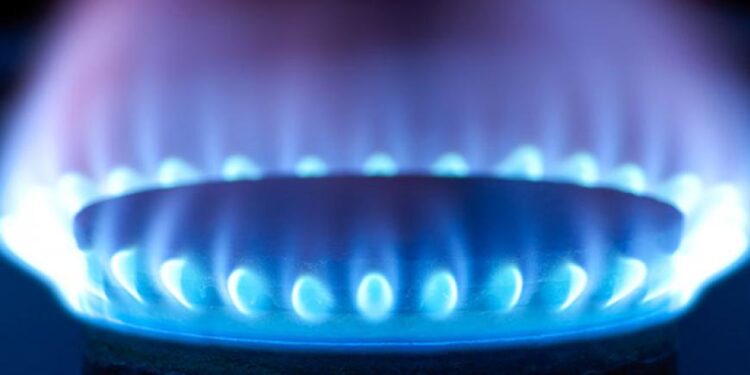 Alza en gas LP por falta de control provisional de precios: Cofece