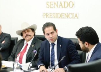Avala Comisión de Energía del Senado terna para la CNH