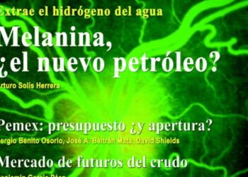 Consulte la revista Energia a Debate No. 23 Noviembre – Diciembre 2007