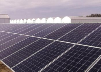 Energía solar, vanguardia de la transición energética soberana: Asolmex