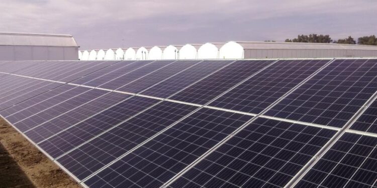 Energía solar, vanguardia de la transición energética soberana: Asolmex