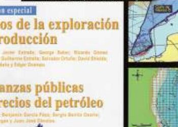 Consulte la revista Energia a Debate No. 24 Enero – Febrero 2008