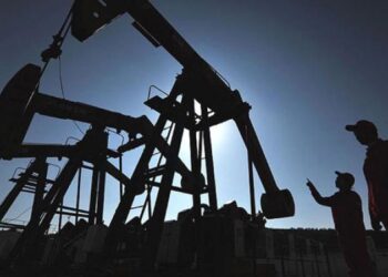 Petroprecios, en mínimos; temen una crisis de deuda externa