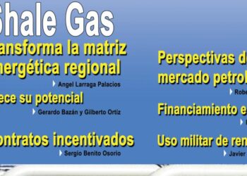 Consulte la revista Energia a Debate No. 42 Enero – Febrero 2011