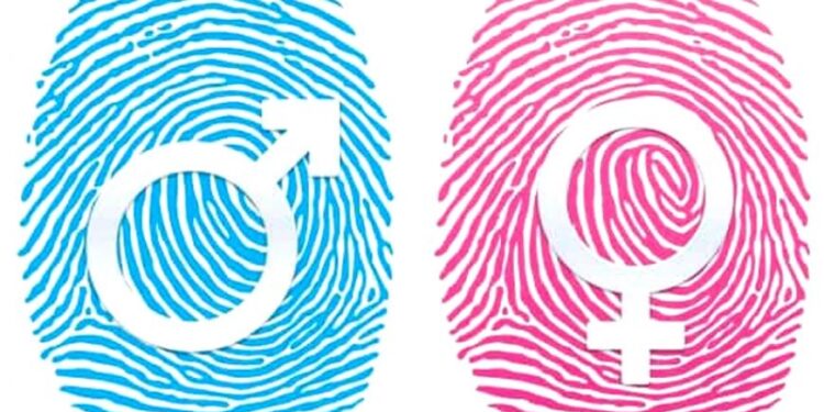 Enel repite en el índice de igualdad de género de Bloomberg