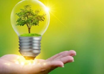 Viola ley eléctrica derecho humano al medio ambiente sano
