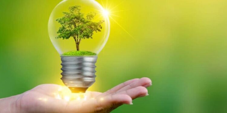 Viola ley eléctrica derecho humano al medio ambiente sano