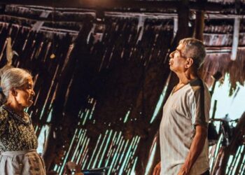Iberdrola lleva la luz a más de 150 familias de la Huasteca