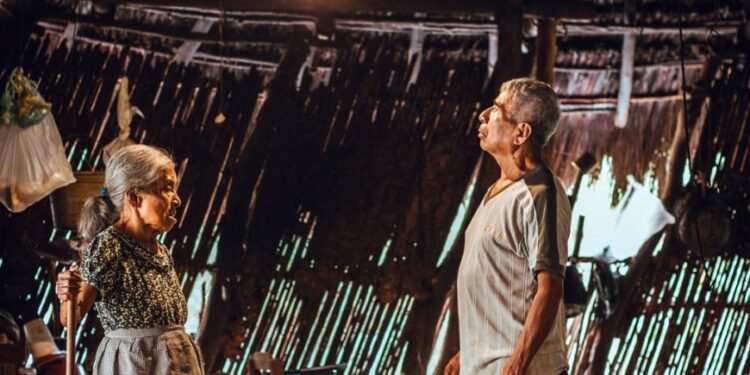 Iberdrola lleva la luz a más de 150 familias de la Huasteca