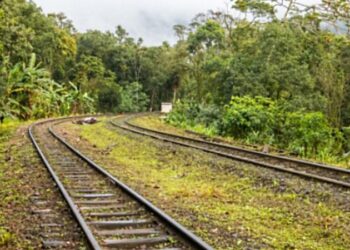 Electrificarán CFE y Fonatur tramo del Tren Maya
