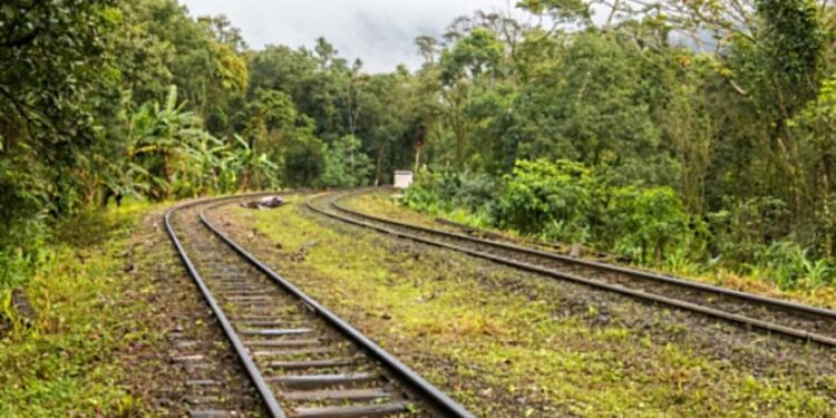 Electrificarán CFE y Fonatur tramo del Tren Maya
