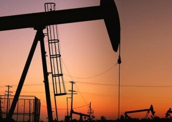 Eleva OPEP en 220 mil bd demanda de petróleo en 2021