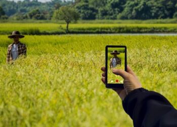 Llevará CFE telefonía celular a zonas rurales