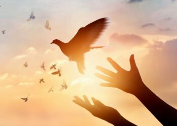 Es la libertad…