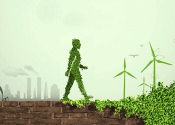 La Transición Energética Justa debe reconocer todas las dimensiones en la descarbonización: Expertos