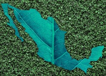 México necesita acciones para combatir el cambio climático