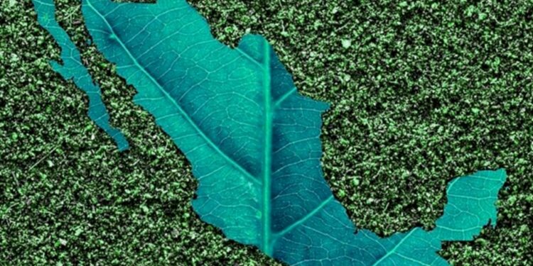 México necesita acciones para combatir el cambio climático