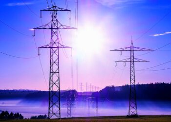 Mercado Paralelo, ¿cómo dejar de subsidiar a los privados?