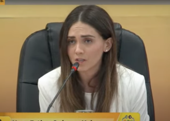 Discuten daños públicos y privados en el sector eléctrico