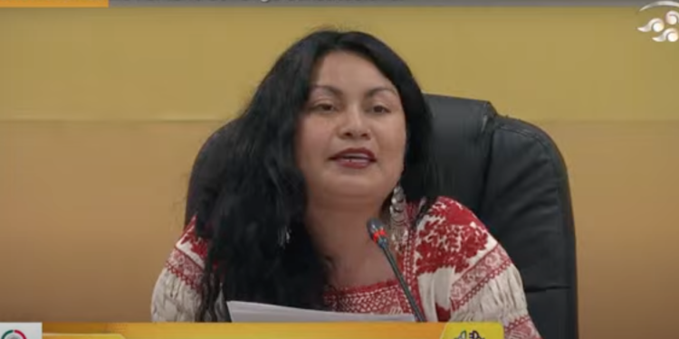 Demandan elevar a rango constitucional derecho a la electricidad