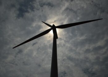 Reconocen planes de la CFE en sustentabilidad