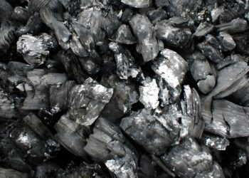 Adjudica CFE en directo suministro de carbón a Troy para el resto del sexenio